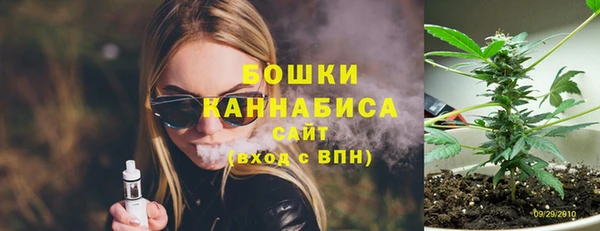 стаф Арсеньев