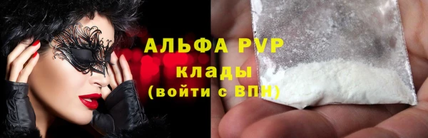 стаф Арсеньев