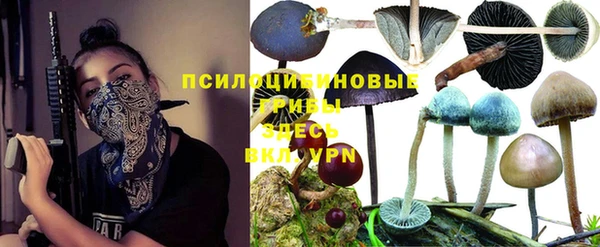 стаф Арсеньев