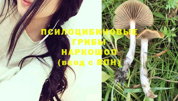 гидропоника Баксан