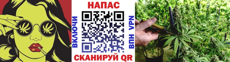 Конопля тримм  где можно купить   Свирск 
